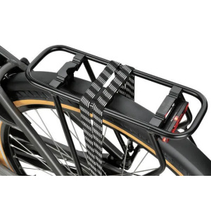 SPARTA C-Grid Energy DAMES TiItan Grey Gloss 56cm 2024
