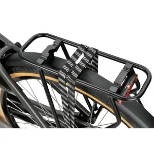 SPARTA C-Grid Energy DAMES TiItan Grey Gloss 56cm 2024