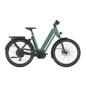 GAZELLE Eclipse T11 Dames Thyme Green Mat 50cm 2024