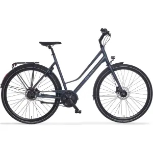 CORTINA Mozzo Geen Dames Thundercloud Matt 51cm 2024