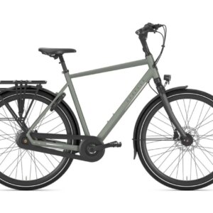 GAZELLE Chamonix C8 HEREN Clay Green Mat 57cm 2024