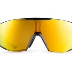 Agu glasses bold black gold lens