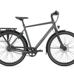 GAZELLE Chamonix S11 HEREN Cloud Grey Mat 61cm 2024