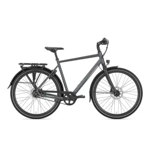 GAZELLE Chamonix S11 HEREN Cloud Grey Mat 61cm 2024