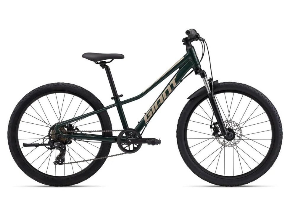 GIANT Talon 24 Trekking Green OSO OSO 2024