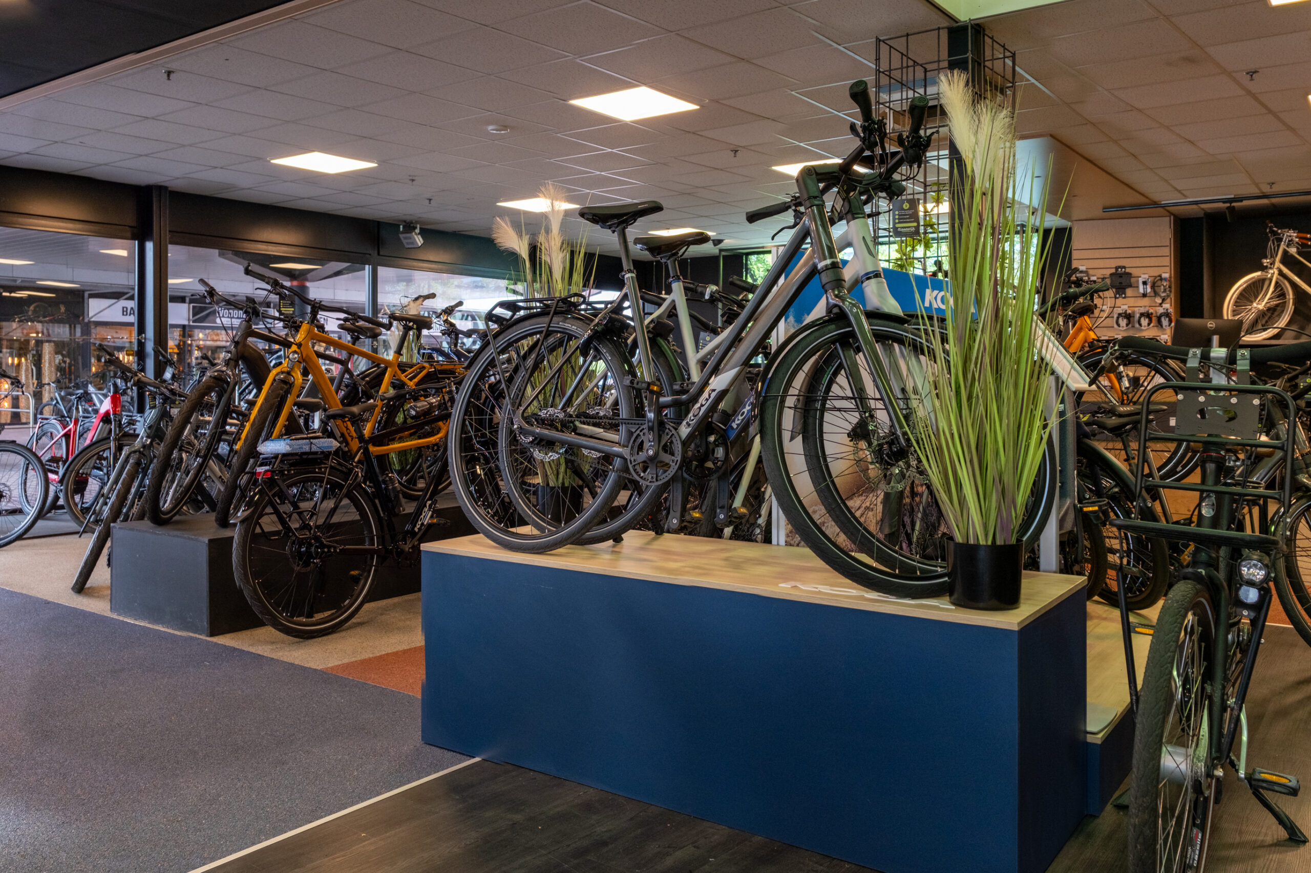 Fietsen in showroom Fietsen in showroom