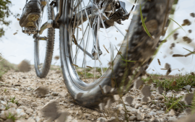 Dit zijn de gravelbike trends voor 2026 – Riesewijk Tweewielers