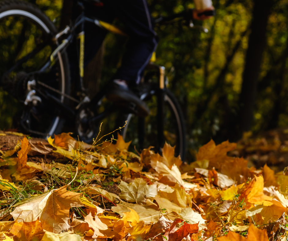 Riesewijk Tweewielers