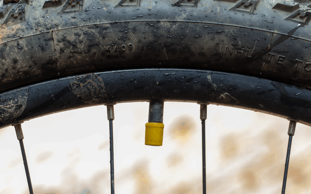 Riesewijk Tweewielers