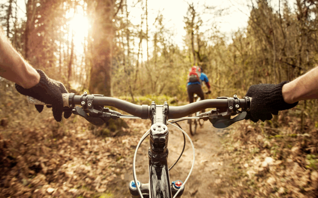 Riesewijk Tweewielers