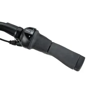 Batavus Senz Comfort