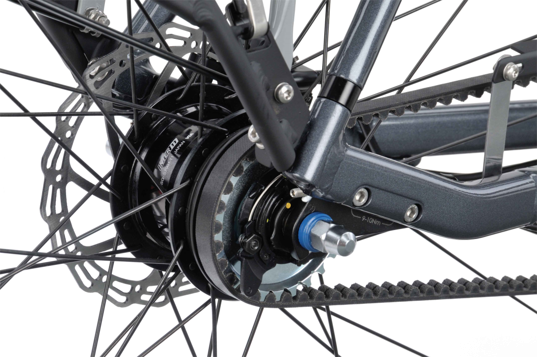 Batavus Dinsdag Exclusive Plus Belt Heren